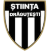 CS Stiinta Dragutesti